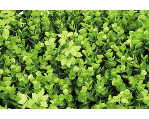 Haie artificielle de buis avec feuilles vertes