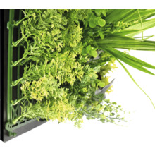 Künstliche grüne Wand mit verschiedenen Pflanzen