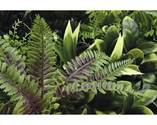 Mur végétal artificiel avec diverses feuilles vertes et fougères pour un aspect réaliste