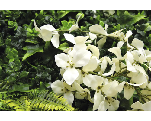 Mur végétal artificiel avec des fleurs blanches et différentes nuances de vert
