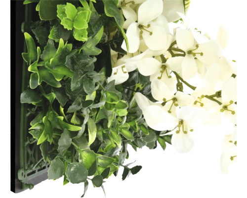 Mur végétal artificiel avec plantes vertes et fleurs blanches