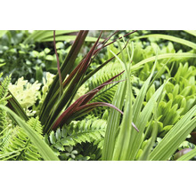 Nahaufnahme von verschiedenen künstlichen Pflanzen