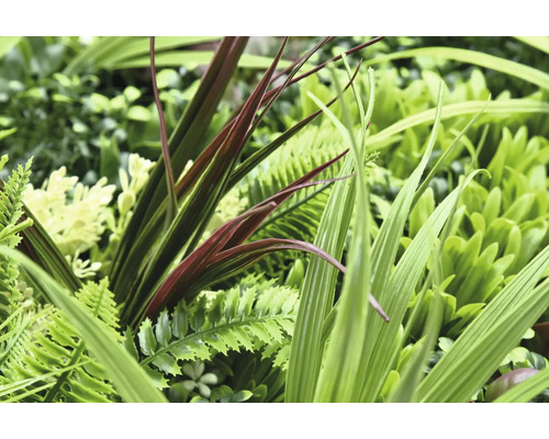 Nahaufnahme von verschiedenen künstlichen Pflanzen