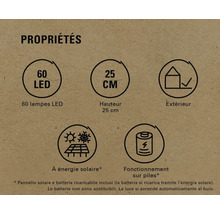 Caractéristiques : 60 LED, 25 centimètres de hauteur, convient pour l'extérieur, énergie solaire possible, fonctionnement sur piles possible