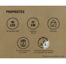 Caractéristiques du produit : 40 LED, hauteur 23 cm, convient pour l’intérieur, fonctionne sur piles, fonction de minuterie six heures allumées et 18 heures éteintes