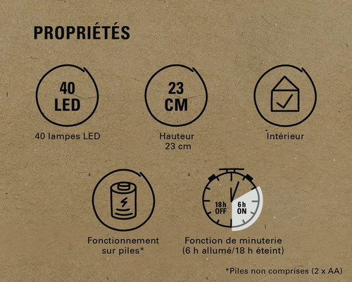 Caractéristiques du produit : 40 LED, hauteur 23 cm, convient pour l’intérieur, fonctionne sur piles, fonction de minuterie six heures allumées et 18 heures éteintes