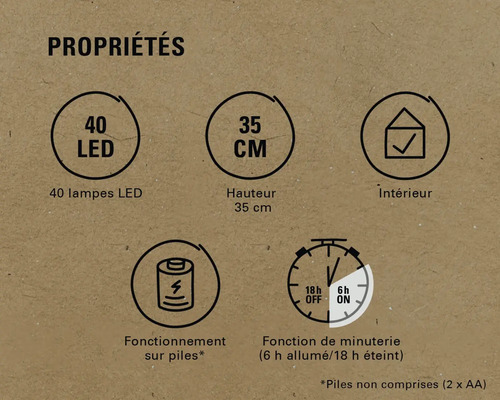 Propriétés : 40 LED, hauteur 35 cm, utilisation intérieure, fonctionne sur piles, fonction minuterie (6 heures allumées, 18 heures éteintes)