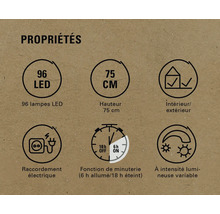 Propriétés : 96 lampes LED, hauteur 75 cm, intérieur/extérieur, raccordement électrique, fonction de minuterie (6 h allumé/18 h éteint), intensité lumineuse variable