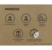 Caractéristiques du produit : 60 LED, hauteur 53 cm, pour intérieur et extérieur, fonctionne sur piles, fonction minuterie