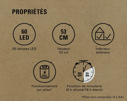 Caractéristiques du produit : 60 LED, hauteur 53 cm, pour intérieur et extérieur, fonctionne sur piles, fonction minuterie