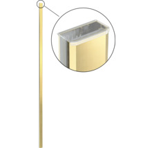 Baguette profilée dorée avec couvercle transparent