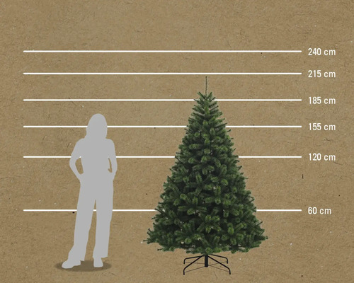 Comparaison de la taille d'un sapin de Noël avec une personne, représentée par des lignes de 60 cm, 120 cm, 155 cm, 185 cm, 215 cm et 240 cm de hauteur.