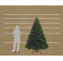 Illustration d'un sapin de Noël artificiel avec indication des tailles en centimètres