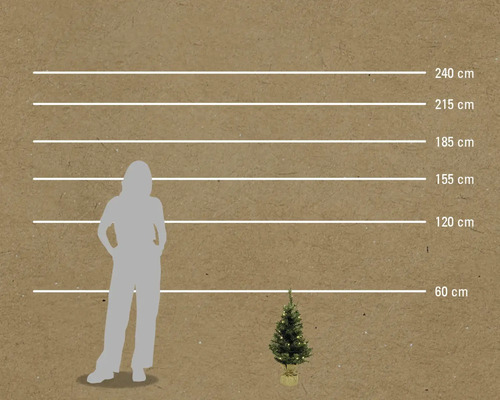 Échelle comparative des tailles avec des marquages de 60 cm à 240 cm, une silhouette de femme et un petit arbre de Noël.
