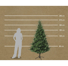 Comparaison de taille sapin de Noël artificiel avec femme et indications de taille