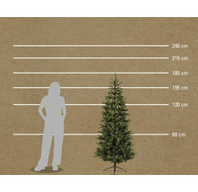 Comparaison de la taille d'un sapin artificiel avec une personne à l'aide d'une échelle en centimètres.