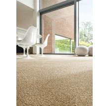 Intérieur avec moquette, chaises et grande fenêtre