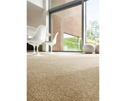 Intérieur avec moquette, chaises et grande fenêtre