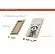 Decopanel mit Rahmenrückseite und Waschbär-Motiv Vorderseite