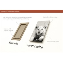 Decopanel Produktbeschreibung mit Vorder- und Rückseite