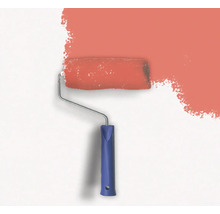 Rouleau à peinture appliquant de la peinture sur un mur