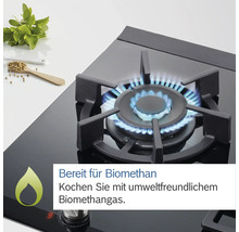 Gaskochfeld mit brennender Flamme