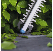 Taille-haie coupant une haie