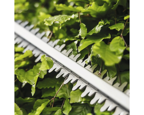 Gros plan sur un taille-haie coupant une haie.