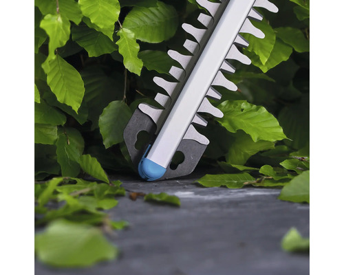 Gros plan d'un taille-haie en utilisation sur une haie