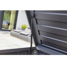 Vue détaillée d'un coffre de rangement ouvert avec ressort à gaz