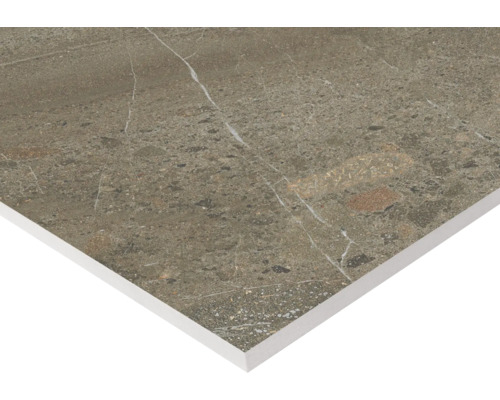 Fliese mit Marmoroptik für Wand und Boden