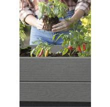 Une personne plante du basilic dans une jardinière grise avec des piments.