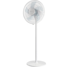 Ventilateur sur pied