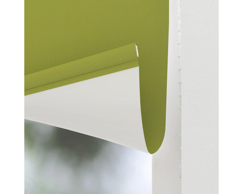 Stores de fenêtre verts pour l'intérieur