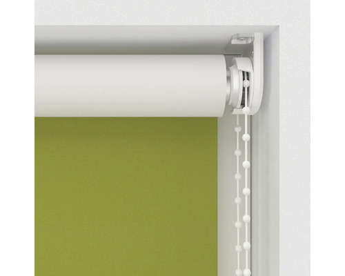 Stores enrouleurs verts en position fermée