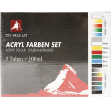 Set de peintures acryliques avec cinq tubes de 100 ml chacun
