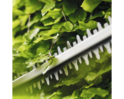 Gros plan d'un taille-haie coupant une haie verte