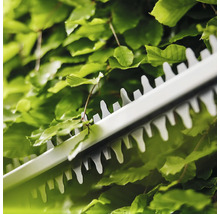 Gros plan sur un taille-haie coupant une haie