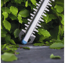 Gros plan d'un taille-haie devant une haie verte