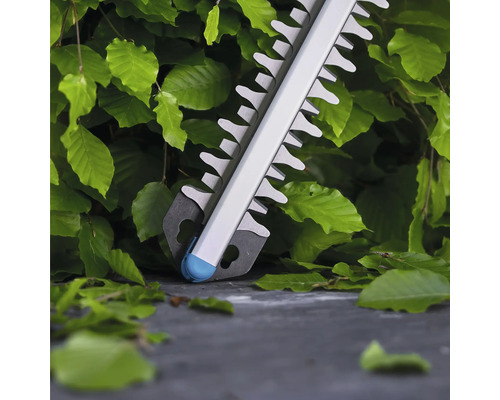 Gros plan d'un taille-haie devant une haie verte