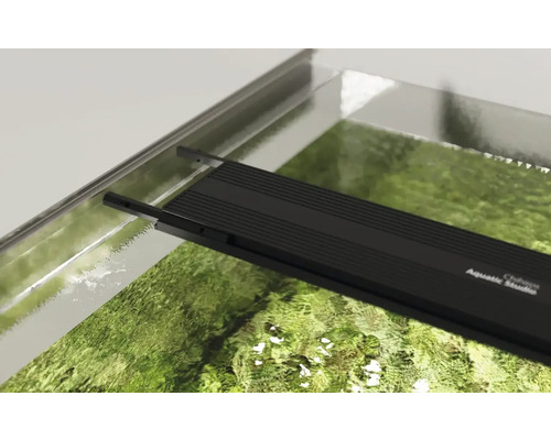 Aquarium mit Aquarienleuchte