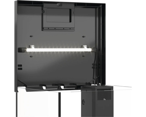 Vue intérieure d'un aquarium avec éclairage