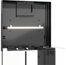 Vue intérieure d'un aquarium avec éclairage et système de filtration