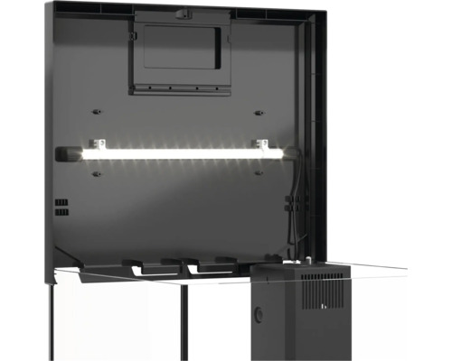 Vue intérieure d'un aquarium avec éclairage et système de filtration