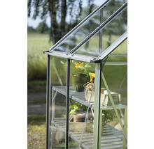 Nahaufnahme eines Gewächshauses mit Regalen und Pflanzen