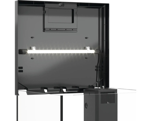 Vue intérieure d'un aquarium avec éclairage