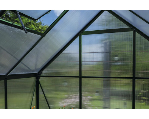 Innenansicht eines Gewächshauses mit Polycarbonatplatten