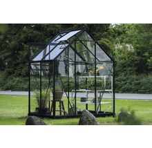 Gewächshaus mit Glaswänden und Pflanzen auf einem Regal