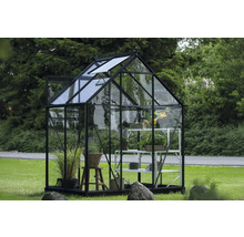 Gewächshaus mit Pflanzen und Regalen im Garten