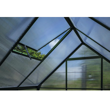 Innenansicht eines Gewächshauses mit geöffnetem Dachfenster.